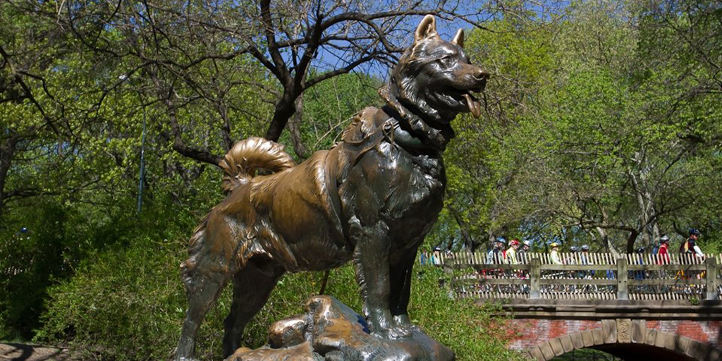 balto.jpg (529 KB)