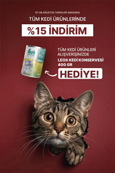 Kedi.webp (41 KB)