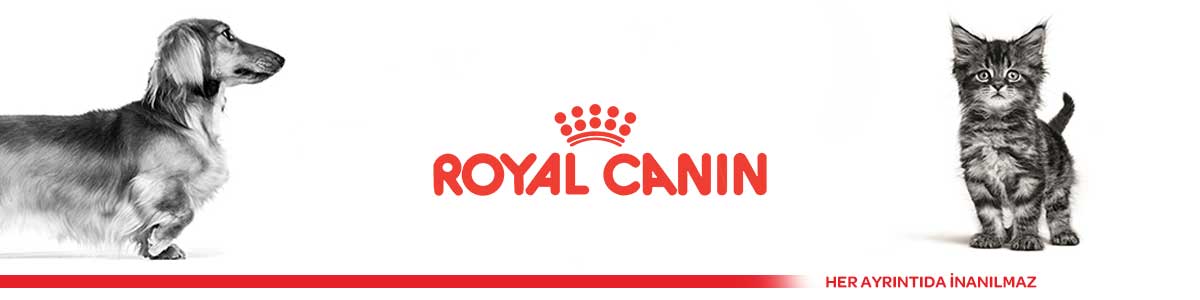 royal-canin-header.jpg (23 KB)