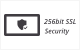 Rapid SSL