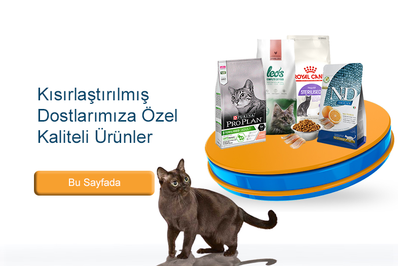 kedi mama markaları