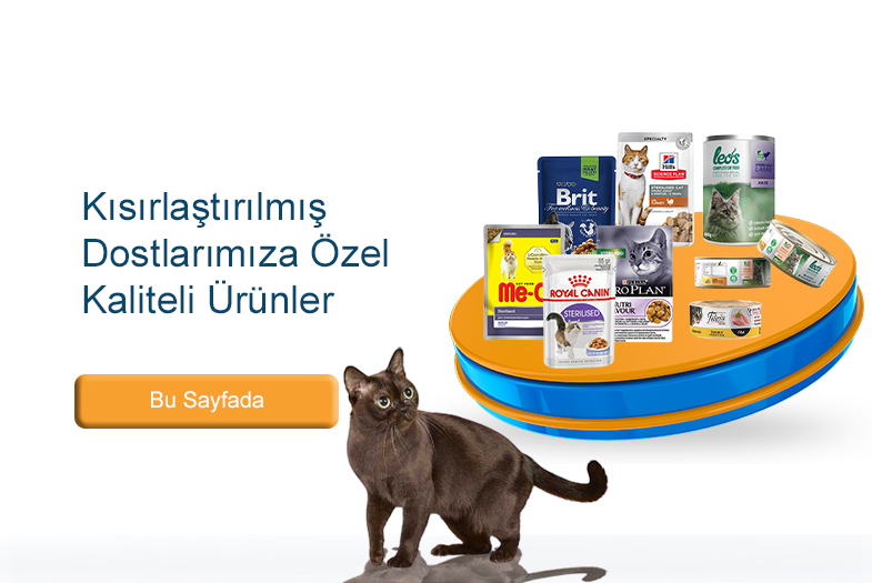 Kisirlastirilmis Yas Kedi Mamasi Fiyat Ve Markalari Pet Ihtiyac