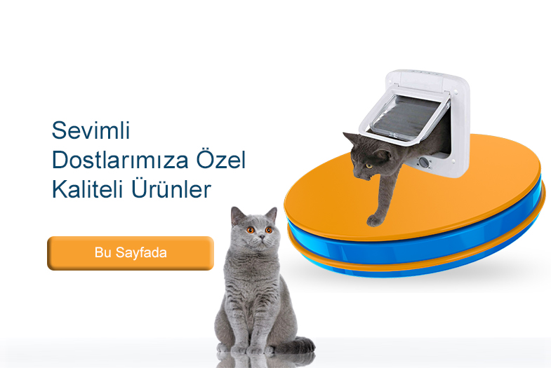 kedi takip cihazı