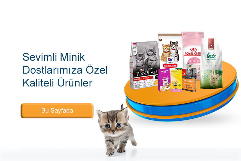 Yavru Kedi Mamasi Yavru Kedilere Mama Cesitleri Pet Ihtiyac