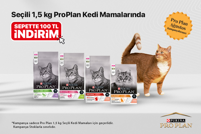 kategori-banner.jpg (46 KB)