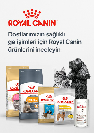 Resim