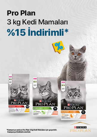 Resim