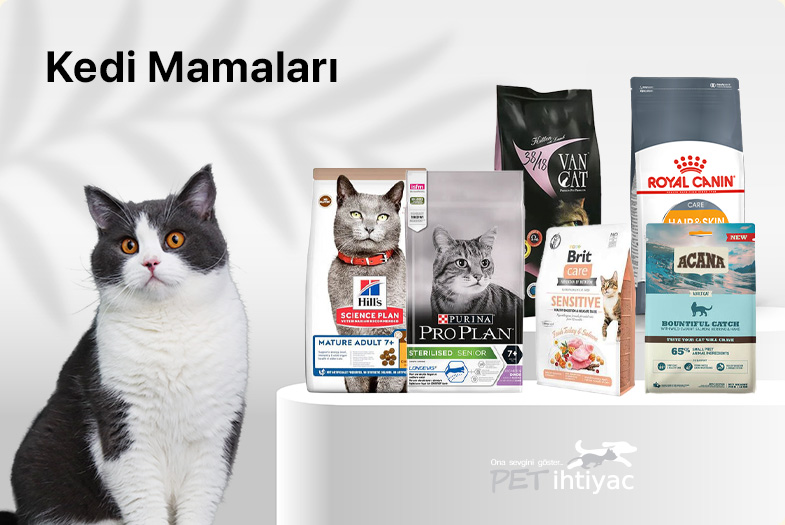 kategori-banner.jpg (46 KB)