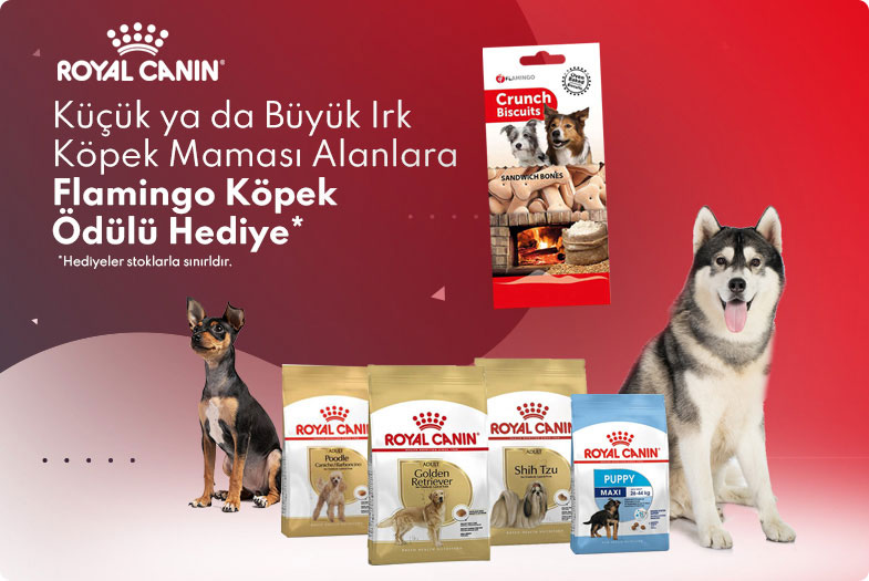 Kopek Malzemeleri Ve Esyalari En Ucuz Fiyatlarla Pet Ihtiyac