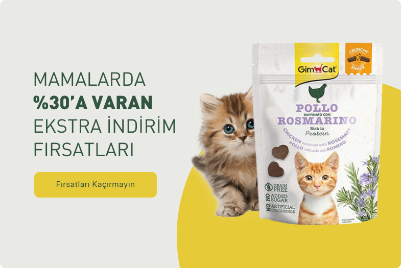 Kedi Mamasi Ve Kedi Odulleri En Iyi Fiyatlarla Pet Ihtiyac