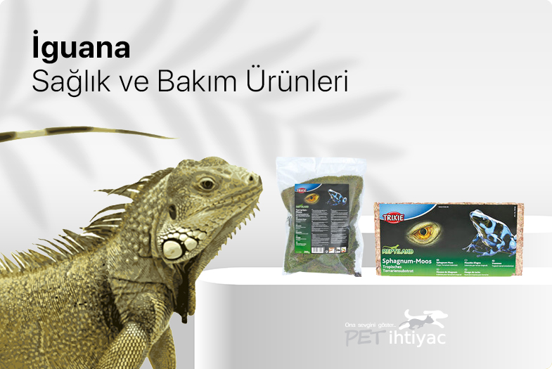 kategori-banner.jpg (46 KB)