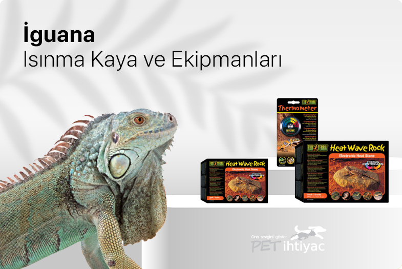 kategori-banner.jpg (46 KB)