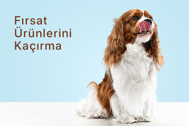 kategori-banner.jpg (46 KB)