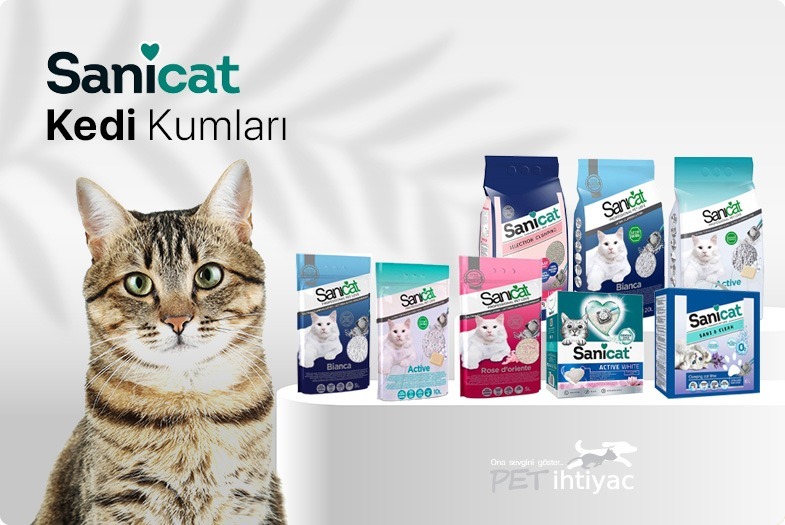 kategori-banner.jpg (46 KB)