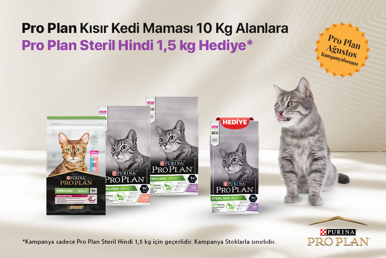kategori-banner.jpg (46 KB)