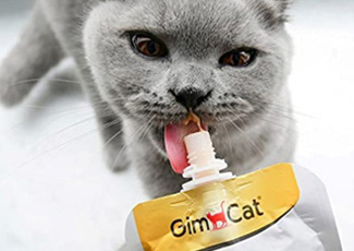 kedi bakım story