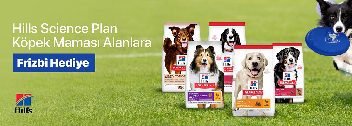 /Data/EditorFiles/tasarim/slider/bhillsdog.jpg