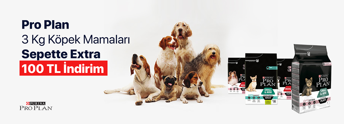 /Data/EditorFiles/tasarim/slider/blrprpdog.jpg