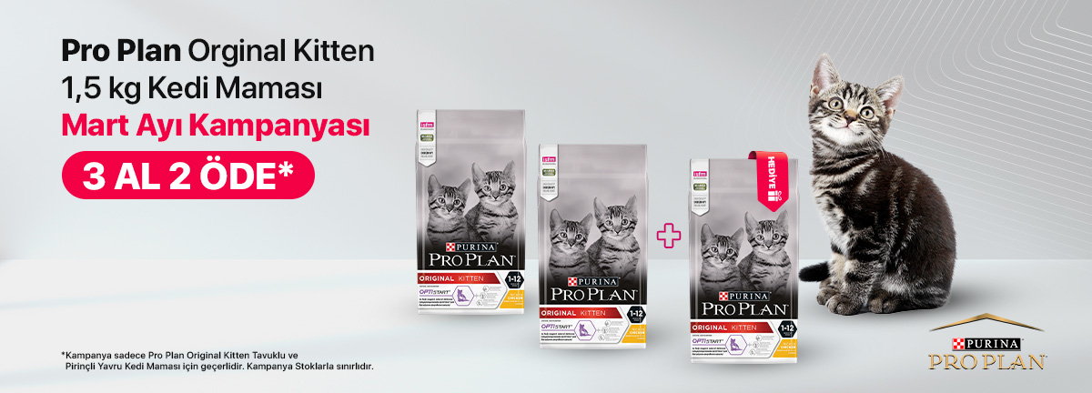 /Data/EditorFiles/tasarim/slider/blrkıtten.jpg