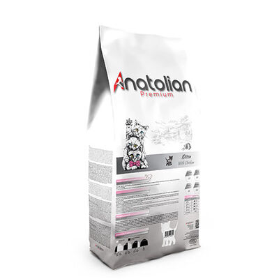 Anatolian Premium Tavuklu Yavru Kedi Maması 10 Kg 