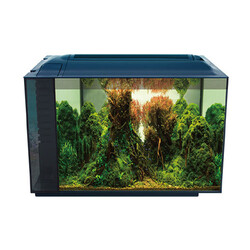 Anubias - Anubias Corydoras 55 Nano Akvaryum Siyah 55,5x29,5x32 Cm 