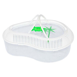 Aquawave Kapaklı Kaplumbağa Bahçesi - Thumbnail