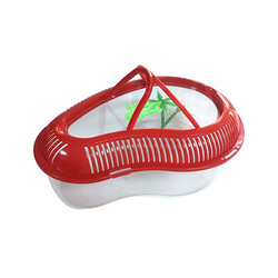 Aquawave Kapaklı Kaplumbağa Bahçesi - Thumbnail