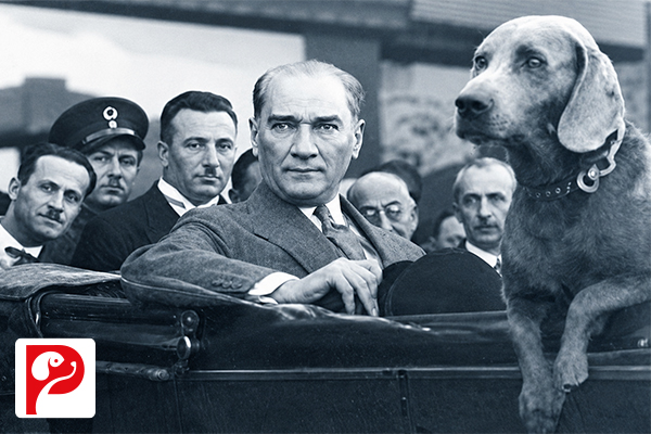 Atatürk’ün Köpeği Foks: Çankaya’dan Anıtkabir’e Uzanan Dostluk
