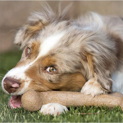 BarkBone Dinosaur Bacon Aromalı Bitmeyen Köpek Çiğneme Kemiği Büyük Boy 25 Cm - Thumbnail