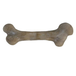BarkBone Dinosaur Bacon Aromalı Bitmeyen Köpek Çiğneme Kemiği Küçük Boy 16,5 Cm - Thumbnail