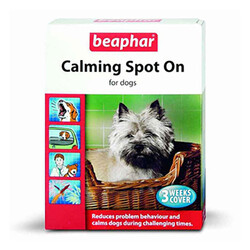 Beaphar - Beaphar Calming Köpek Sakinleştirici Damla 3'lü