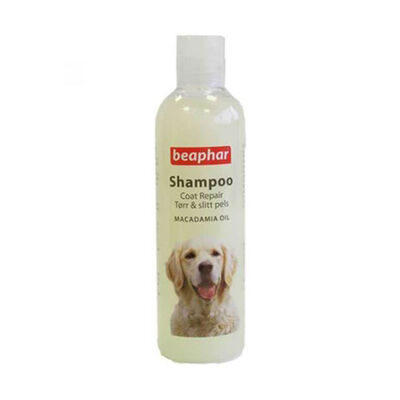 Beaphar Kıtık Çözücü Köpek Şampuanı