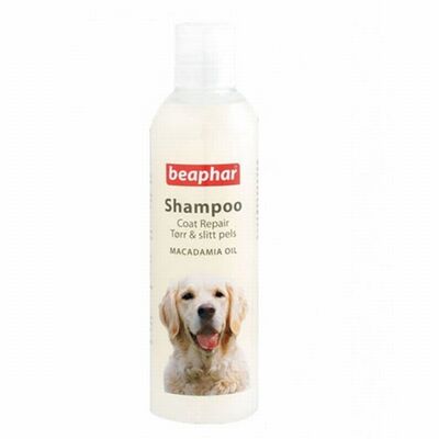 Beaphar Macadamia Yağlı Kıtık Giderici ve Tüy Parlatıcı Köpek Şampuanı 250 Ml 