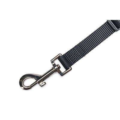 Beeztees Köpek Emniyet Kemeri Siyah Medium 80x2,5 Cm 