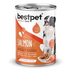 Bestpet - BestPet Parça Etli Somon Etli Yetişkin Köpek Konservesi 6 Adet 400 Gr 