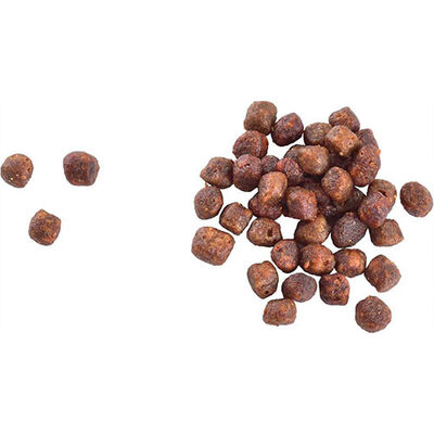 Brit Care Gentle Digestion & Strong Immunity Somonlu Tahılsız Yavru Kedi Maması 2 Kg 