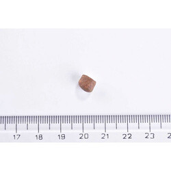 Brit Care Gentle Digestion & Strong Immunity Somonlu Tahılsız Yavru Kedi Maması 2 Kg - Thumbnail