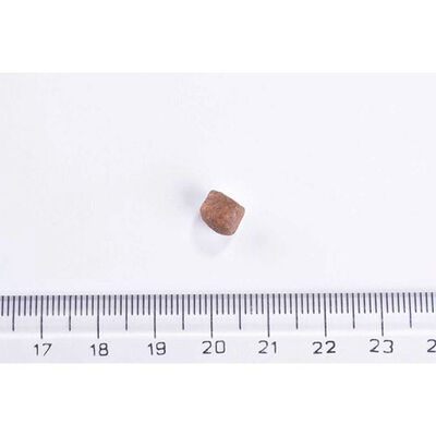 Brit Care Gentle Digestion & Strong Immunity Somonlu Tahılsız Yavru Kedi Maması 2 Kg 