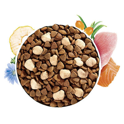 Brit Care Cat Haircare Raw Delights Somonlu ve Hindili Tahılsız Yetişkin Kedi Maması 2 Kg