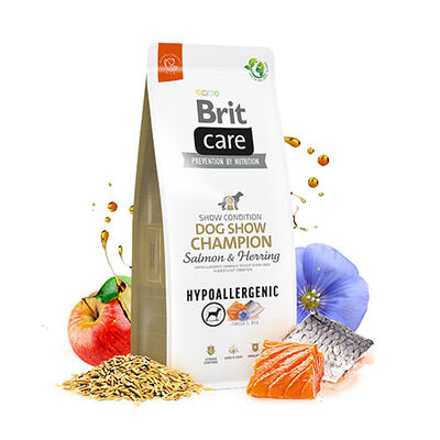 Brit Care Hypoallergenic Dog Show Champion Somonlu Yetişkin Köpek Maması 12 Kg 