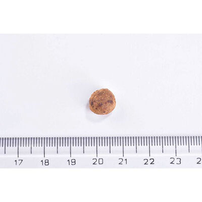 Brit Care Immunity Support Domuz Etli Tahılsız Kısırlaştırılmış Kedi Maması 2 Kg 