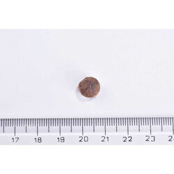 Brit Care Sensitive Hipoalerjenik Larva Proteinli Tahılsız Yetişkin Kedi Maması 7 Kg - Thumbnail