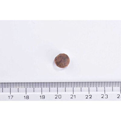 Brit Care Sensitive Hipoalerjenik Larva Proteinli Tahılsız Yetişkin Kedi Maması 7 Kg 