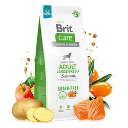 Brit Care Skin Coat Adult Large Breed Somonlu Büyük Irk Tahılsız Yetişkin Köpek Maması 12 Kg - Thumbnail