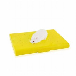 Eurogold - EuroGold Carno Soğutucu Buz Torbalı Hamster Yatağı 14x10x1 Cm 