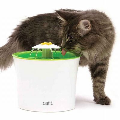 Catit 2.0 Flower Fountain Çiçek Desenli Otomatik Kedi Su Kabı 3 Lt 