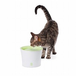Catit Fresh Clear Otomatik Kedi Su Kabı 3 Lt - Thumbnail