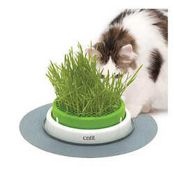 Catit Senses 2.0 Grass Planter Kedi Çimi - Thumbnail