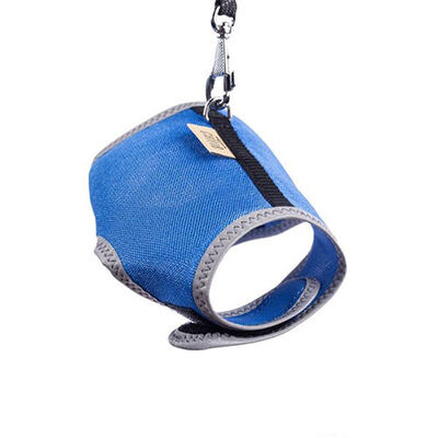 Cattie Havalı Dokuma Kedi Göğüs ve Gezdirme Tasması Large Royal Mavi 1,5x30-40 Cm 