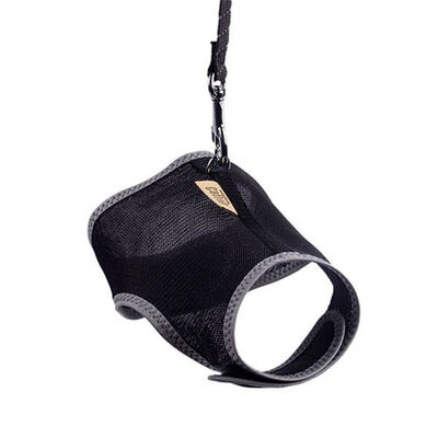 Cattie Havalı Dokuma Kedi Göğüs ve Gezdirme Tasması Medium Siyah 1x25-35 Cm 